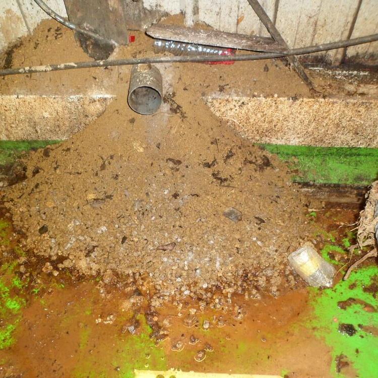 Installation de rats sous une canalisation